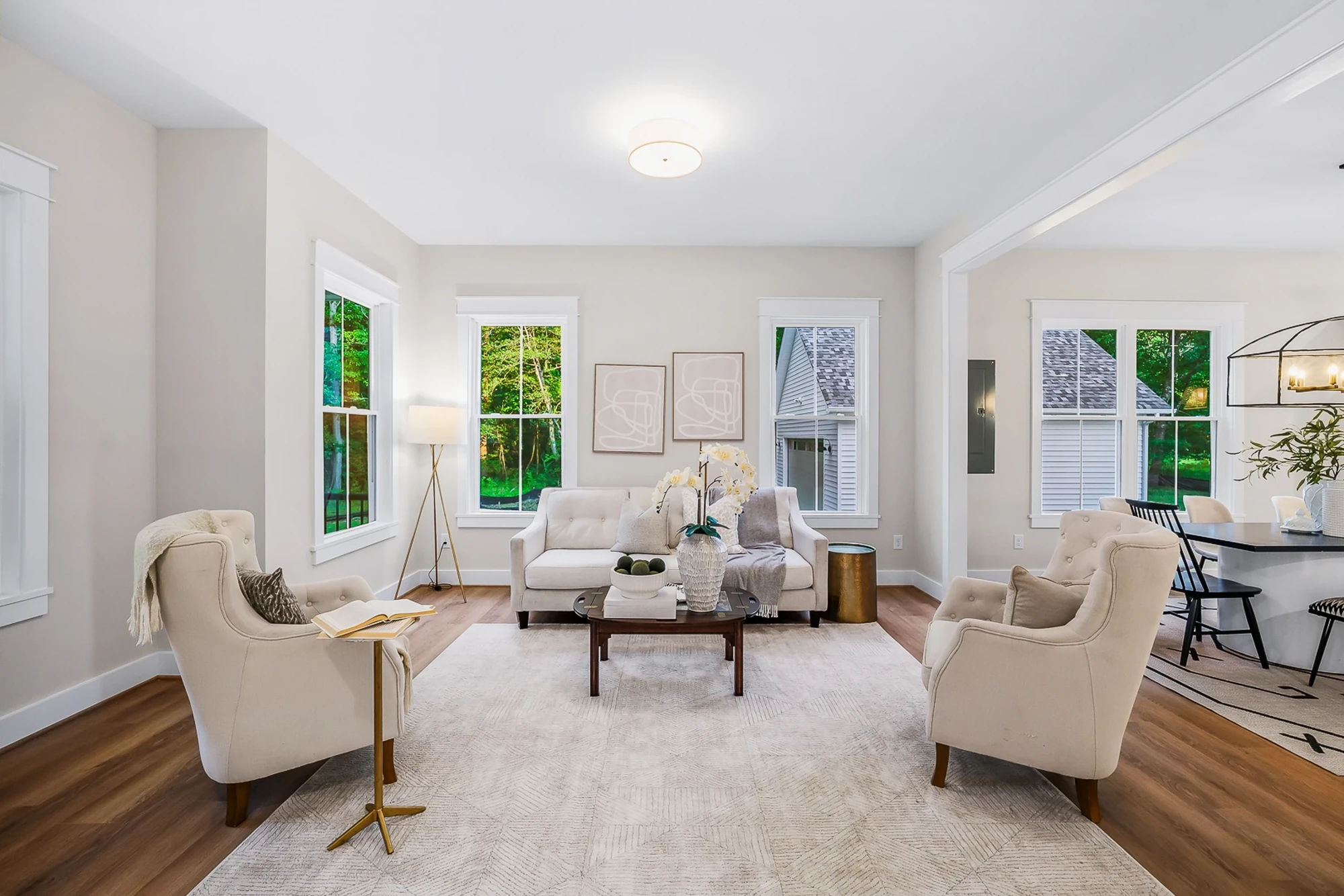 Living room seating area